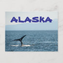 Recherche de queue de baleine cartes postales Alaska