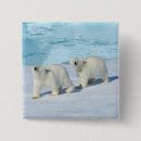 Recherche de ursus badges Faune