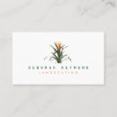 Recherche de bromeliad Nature