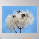 Recherche de pelucheux posters Nature
