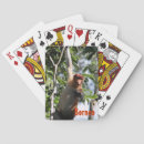 Recherche de singes jeux de cartes Forêt tropicale