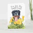 Recherche de chien jaune vœux cartes Pour tous
