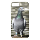 Recherche de pigeons iphone coques Faune