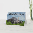 Recherche de butt cartes postales Animal