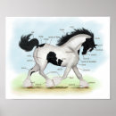 Recherche de gypsy posters Cheval