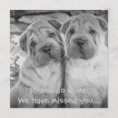 Recherche de de chien mariage invitations Animal de compagnie