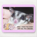 Recherche de le planeur tapis souris Animal familier