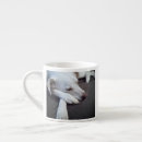 Recherche de récupération tasses Labrador