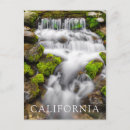 Recherche de fougères cartes postales Californie