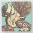 Recherche de coquillage dessous de verres Étoiles de mer