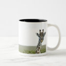 Recherche de kenya tasses Horizontal