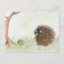 Recherche de bird cartes postales Kiwi