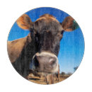 Recherche de image de couleur planches à découper Animal