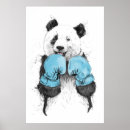 Recherche de gagnant posters Humour