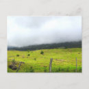 Recherche de descendants cartes postales Pour tous