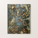 Recherche de grenouille puzzles Nature