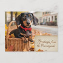 Recherche de teckels cartes postales Chiot