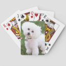 Recherche de la frise jeux de cartes Bichon