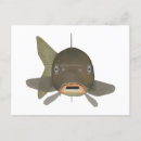 Recherche de carpe cartes postales Pêche
