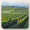 Recherche de vigne dessous de verres Cave