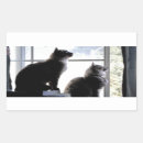 Recherche de chat curieux autocollants Animaux