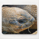 Recherche de geant tapis souris Sauvage