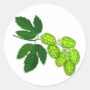 Recherche de houblon autocollants Bière