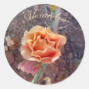 Recherche de sonoran desert autocollants Arizona