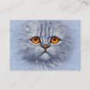 Recherche de chat gris cartes visite Tabby