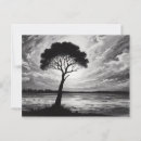 Recherche de arbre solitaire cartes postales Noir et blanc
