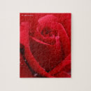 Recherche de roses rouges puzzles Rose rouge