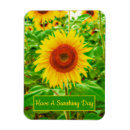 Recherche de brillant magnets Vert