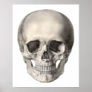 Recherche de anatomie vintage posters Antique