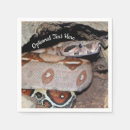Recherche de queue serviettes Reptile