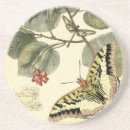 Recherche de fleur naturelle dessous de verres Papillon