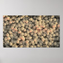 Recherche de ampoules posters Éclairage