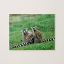 Recherche de le madagascar puzzles Faune