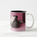 Recherche de chaton espiègle tasses Horizontal