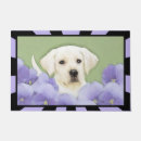 Recherche de chien de labrador terrasses jardins Dog