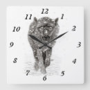 Recherche de loup sauvage horloges Lobo