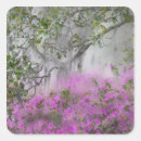 Recherche de fleurs de magnolia autocollants Arbre