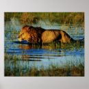 Recherche de le botswana posters Animaux dans la nature