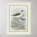 Recherche de oiseau sauvage posters Nature