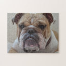 Recherche de visage puzzles Canine