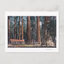 Recherche de mariposa cartes postales Arbres