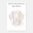 Recherche de chien de teckel posters Mignon