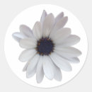 Recherche de purple envelope sceaux autocollants Blanc