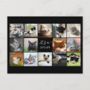 Recherche de collage chat cartes postales Amusant