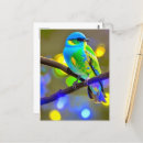 Recherche de vert bleu cartes postales Beau