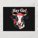 Recherche de humour de vache cartes postales Agriculture